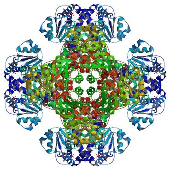 Crystal structure of tm0922, a fusion of a domain of unknown function and ADP/ATP-dependent NAD(P)H-hydrate dehydratase from Thermotoga maritima in complex with ADP-glucose (3RT7)